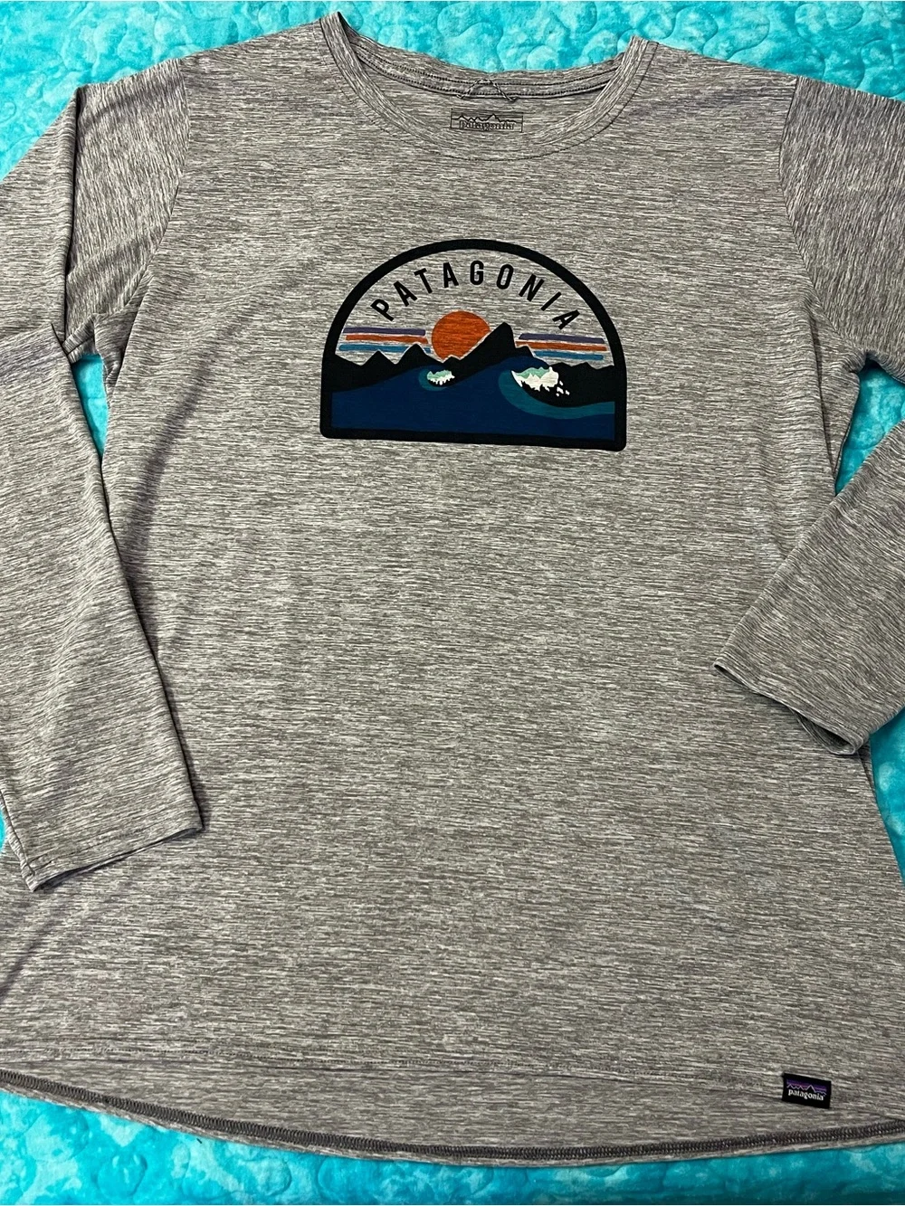 Patagonia Grey Long-Sleeve Women’s Tee with Mountain Logo